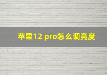 苹果12 pro怎么调亮度